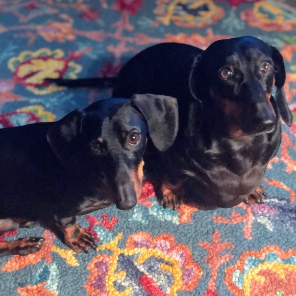 Meet your Posher, Tina🌺 - Picture 6 of 7